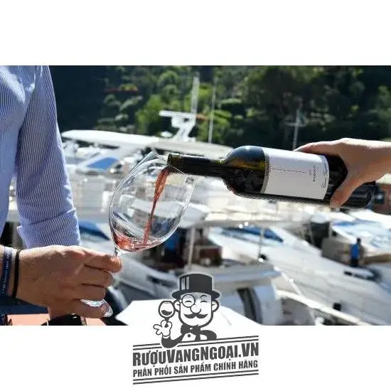 Vang Ý GIANNI GAGLIARDO BAROLO SERRE