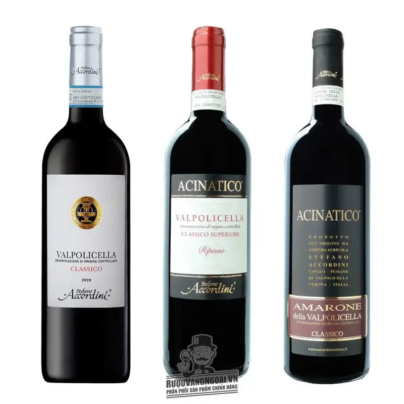 Mua ruou vang acinatico amarone della valpolicella giá rẻ tại Hà Nội