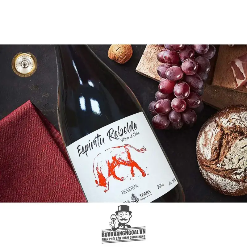 Vang Chile Espiritu Rebelde Syrah Reserva