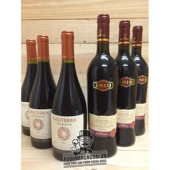 Vang Chile CASADONOSO 1810 Cabernet Sauvignon Carmenere