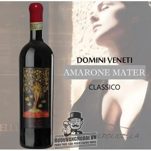 Vang Ý AMARONE MATER