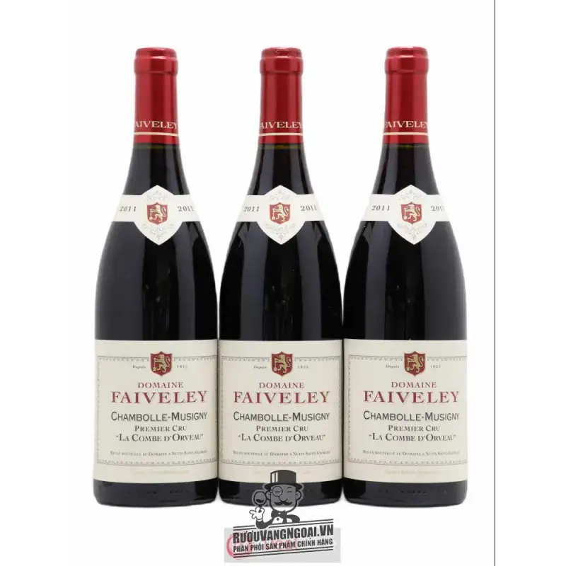 Mua vang phap domaine faiveley er cru giá rẻ tại Sài Gòn