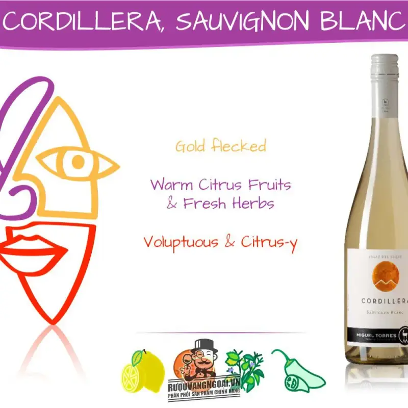 Giá vang chile cordillera miguel torres sauvignon blanc