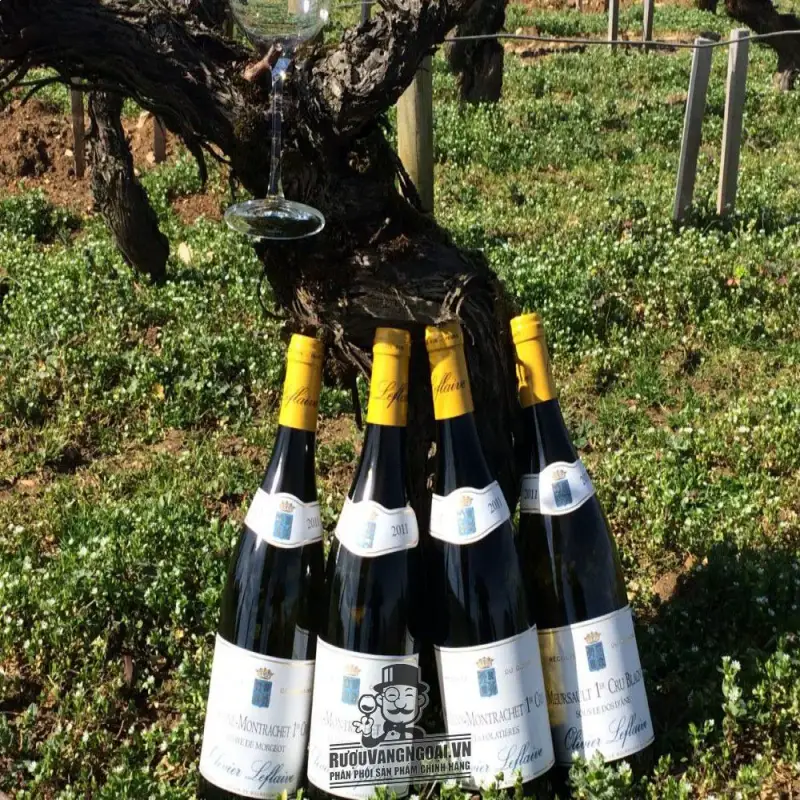 Giá vang phap olivier leflaive meursault blagny sous le dos dane