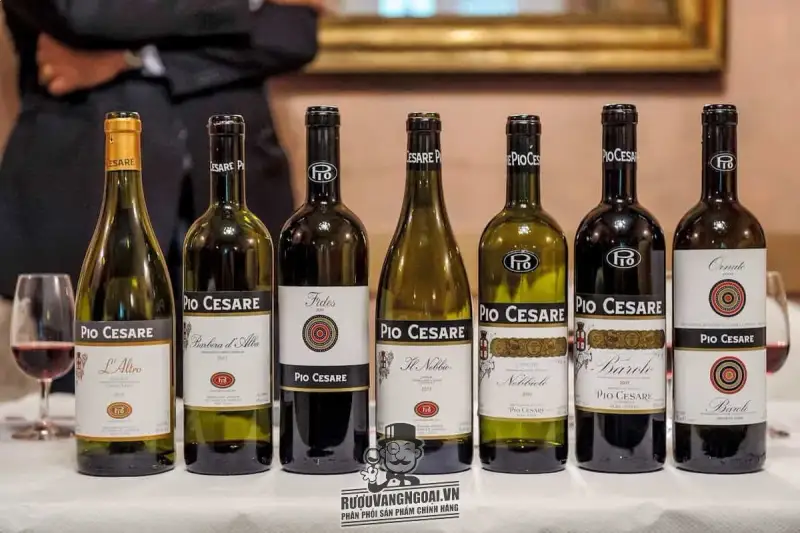 Vang Ý Pio Cesare Barbera d