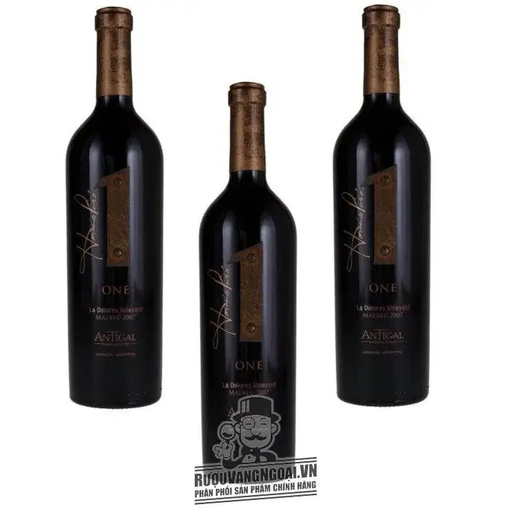 Vang Argentina 1 One Malbec La Dolores Vineyard Antigal