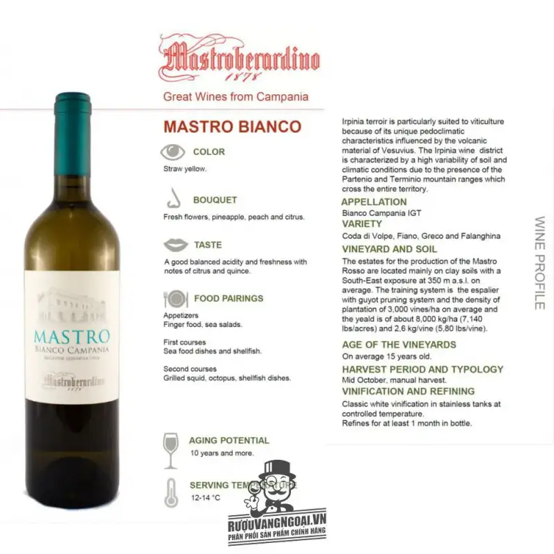 Mua vang y mastro bianco campania mastroberardino giá rẻ tại Sài Gòn