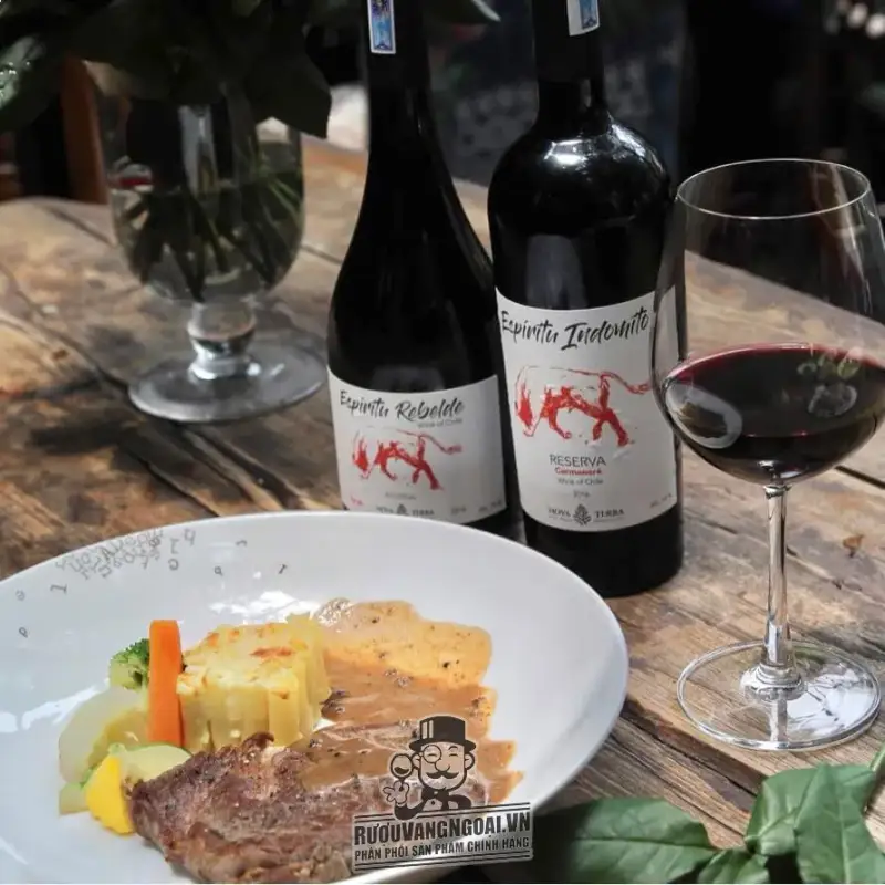 Mua vang chile espiritu rebelde syrah reserva giá rẻ tại Sài Gòn
