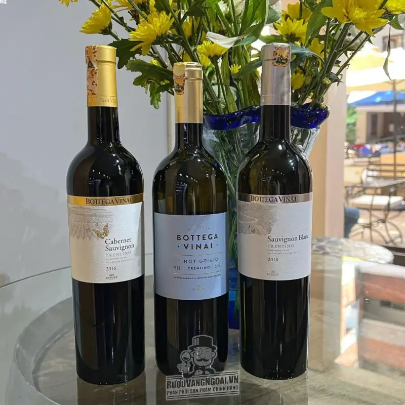 Địa chỉ bán vang y bottega vinai pinot grigio giá rẻ tại Hà Nội