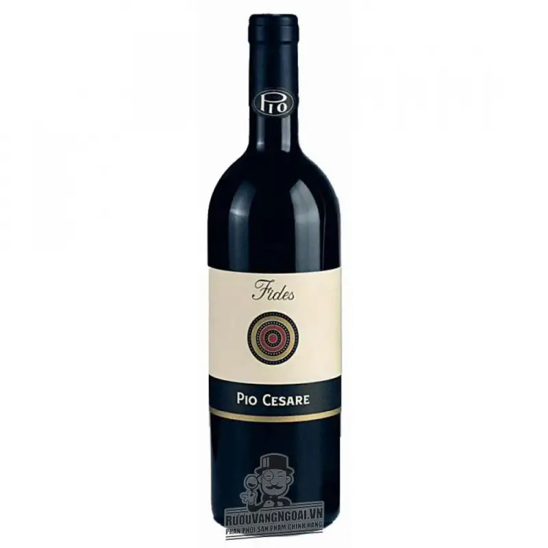 Vang Ý Pio Cesare Fides Barbera Dalba