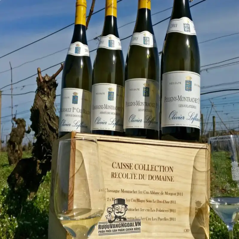 Giá vang phap olivier leflaive meursault blagny sous le dos dane