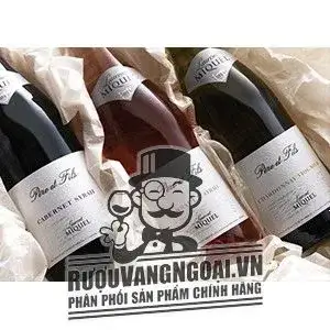 Vang Pháp Laurent Miquel Pere Et Fils Cabernet Syrah
