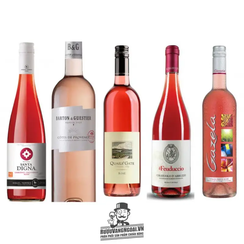 Mua vang phap barton guestier cotes de provence passeport cao cap giá rẻ tại Hà Nội