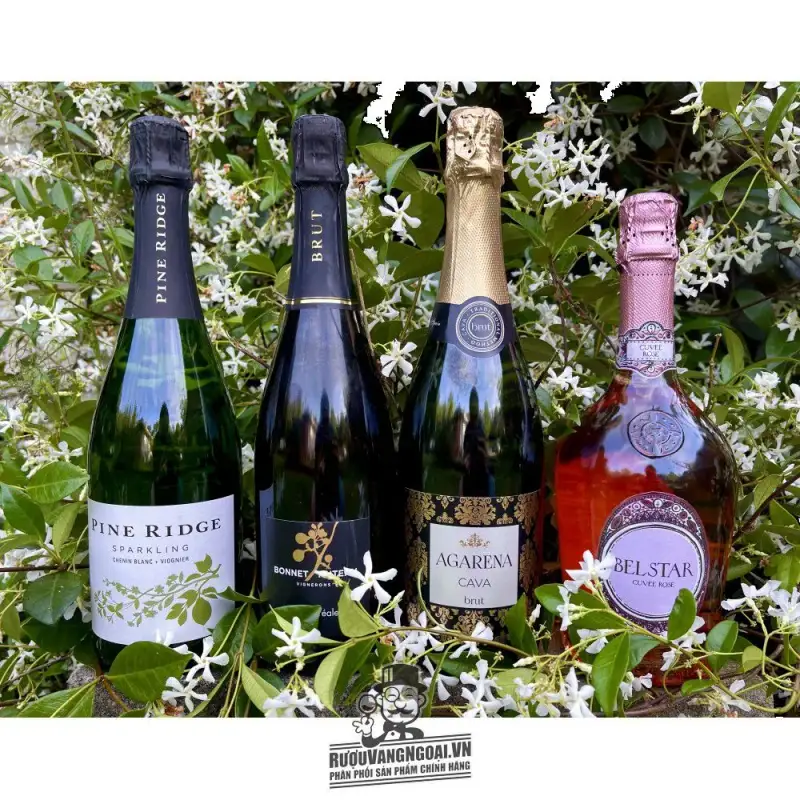 Địa chỉ bán vang y belstar prosecco bisol cuvee rose brut veneto giá rẻ tại Hà Nội