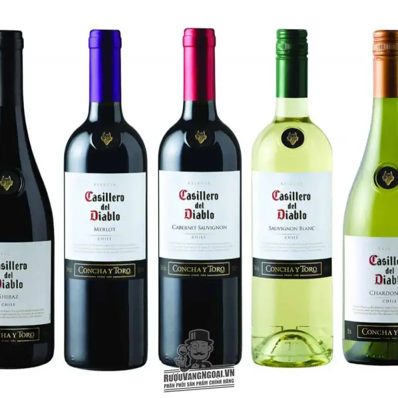 Giá vang chile casillero del diablo sauvignon blanc concha y toro