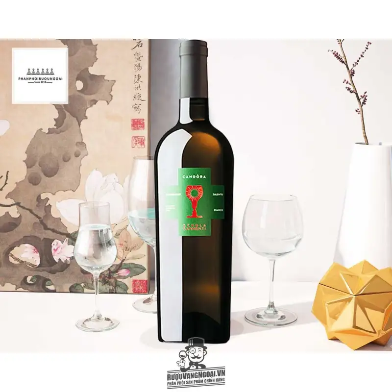 Rượu Vang Ý Chén thánh SCHOLA SARMENTI CANDORA CHARDONNAY