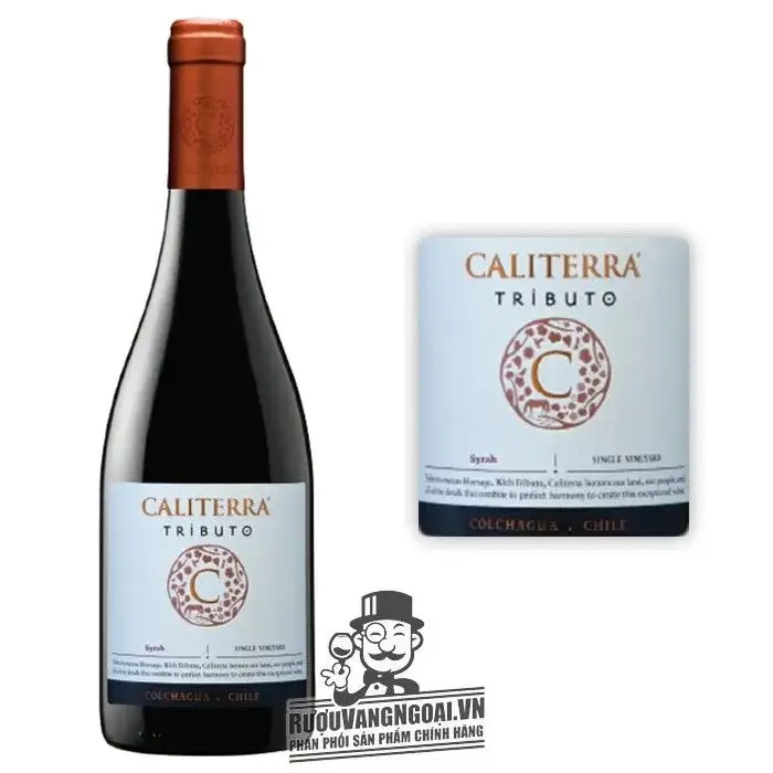 Vang Chile CALITERRA Tributo Syrah