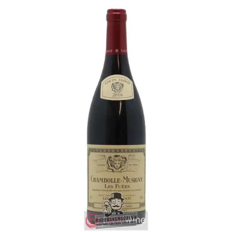 Vang Pháp Chambolle Musigny Les Fuees Louis Jadot thượng hạng