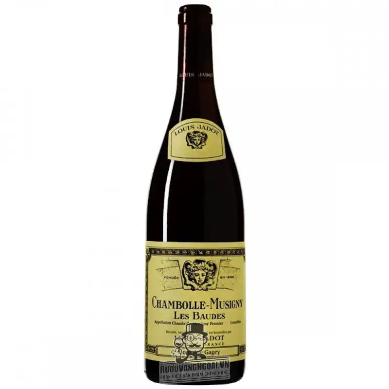 Vang Pháp Chambolle Musigny Les Baudes Louis Jadot cao cấp