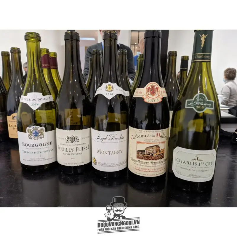 Vang Pháp Joseph Drouhin Aloxe Corton