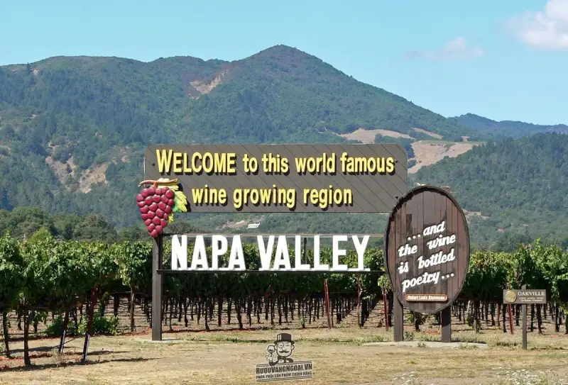 Vang Mỹ NAPA VALLEY 55 Cabernet Sauvignon