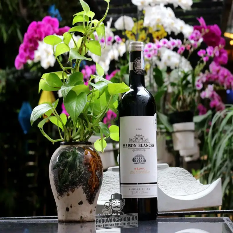 ruou vang phap chateau maison blanche medoc mua ở đâu giá rẻ nhất