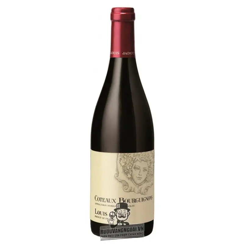 Vang Pháp Louis Jadot Coteaux Bourguignon uống ngon