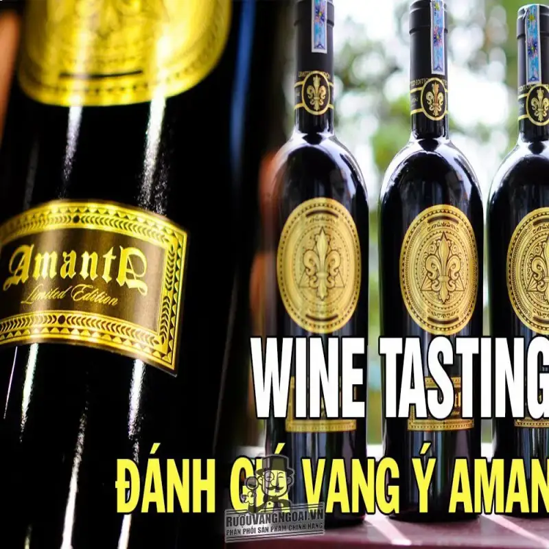 Mua ruou vang y amanta limited edition ở đâu giá rẻ nhất