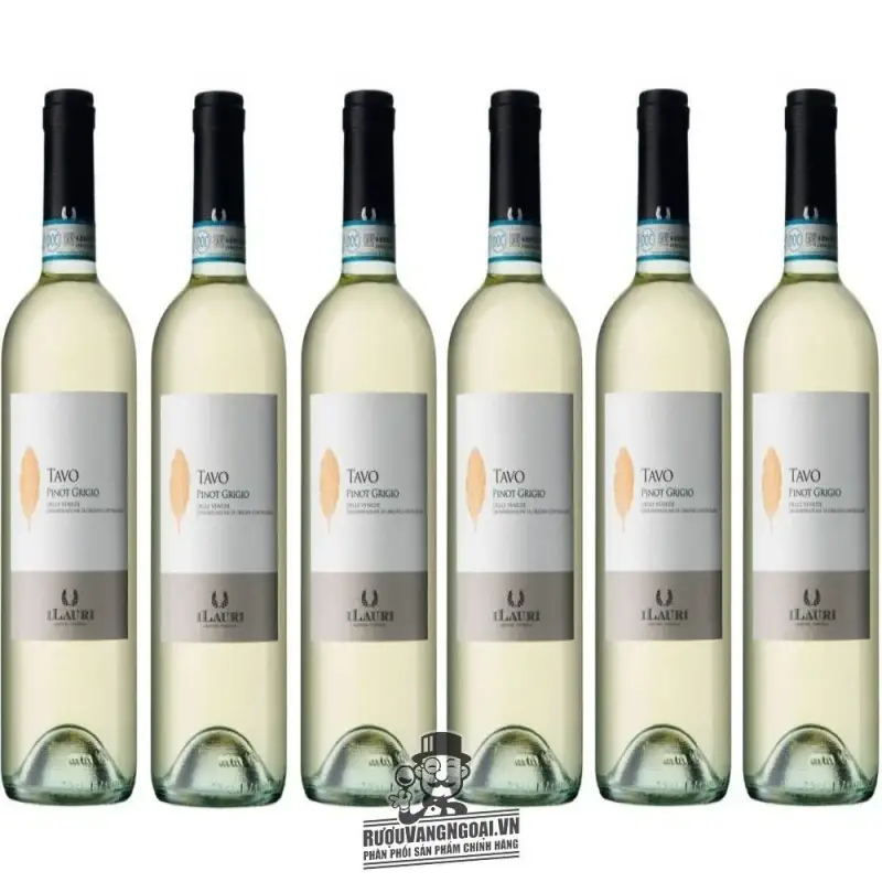Giá vang y ilauri tavo pinot grigio