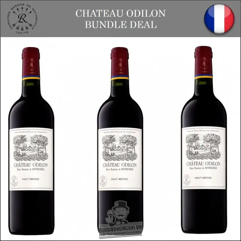 Rượu Vang Pháp CHATEAU ODILON