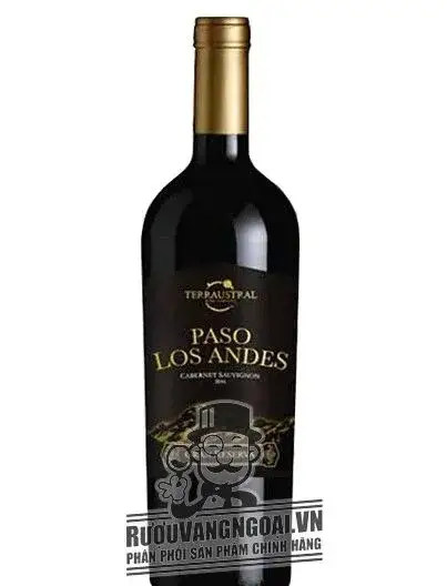 Vang Chile PASO LOS ANDES GRAN RESERVA