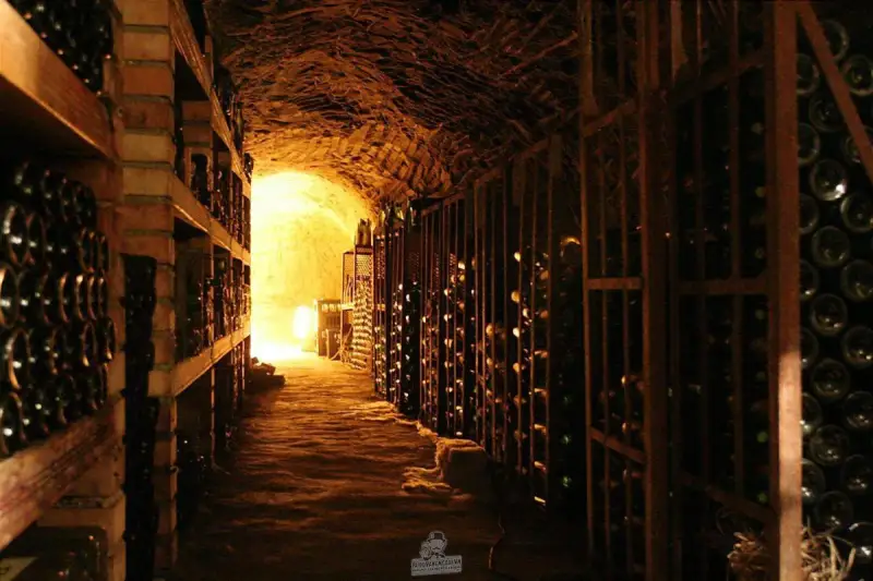 Vang Ý Megale 2014 NegroAmaro Salento Tinazzi