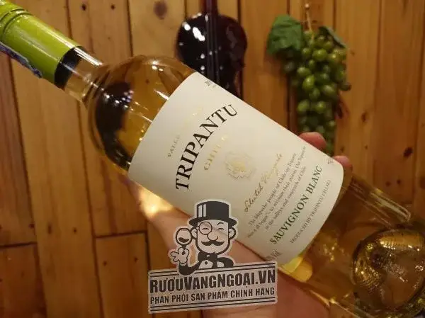 Rượu Vang Chile Tripantu Sauvignon Blanc - Ruouvangngoai.vn