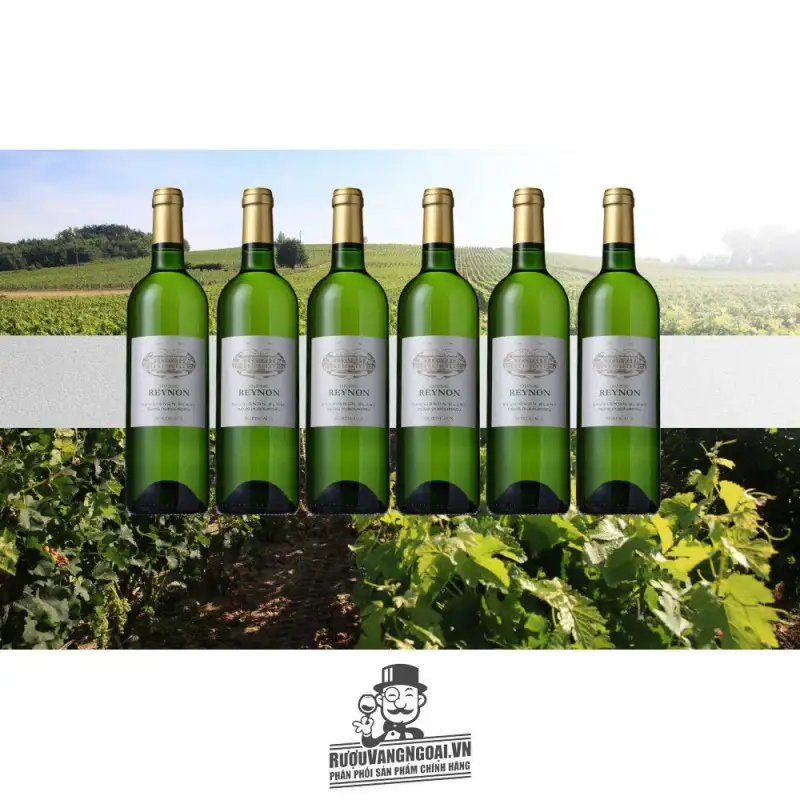Mua vang phap chateau reynon sauvignon blanc bordeaux ở đâu giá rẻ nhất