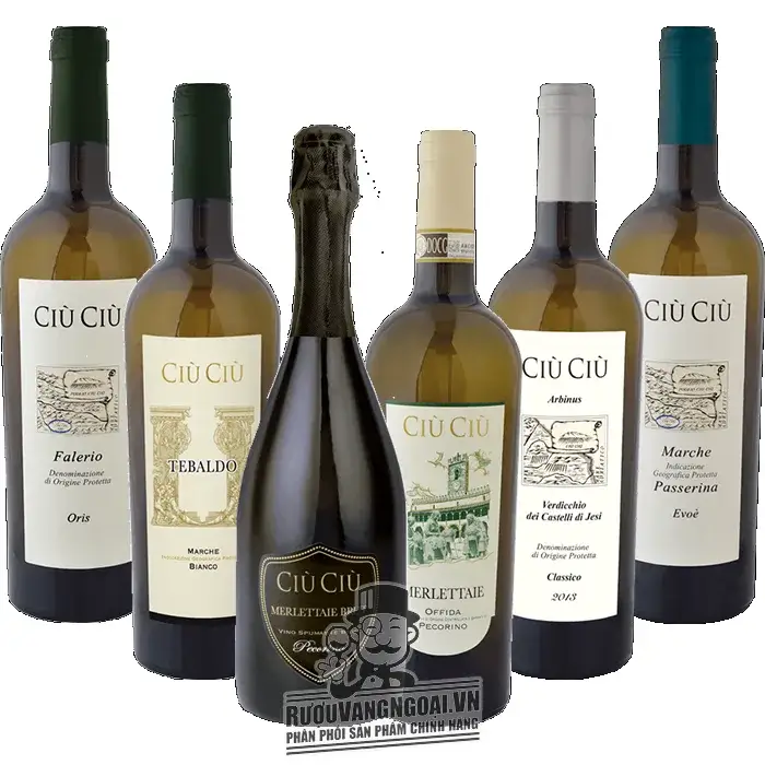 Vang Ý CIÙ CIÙ TEBALDO MARCHE BIANCO