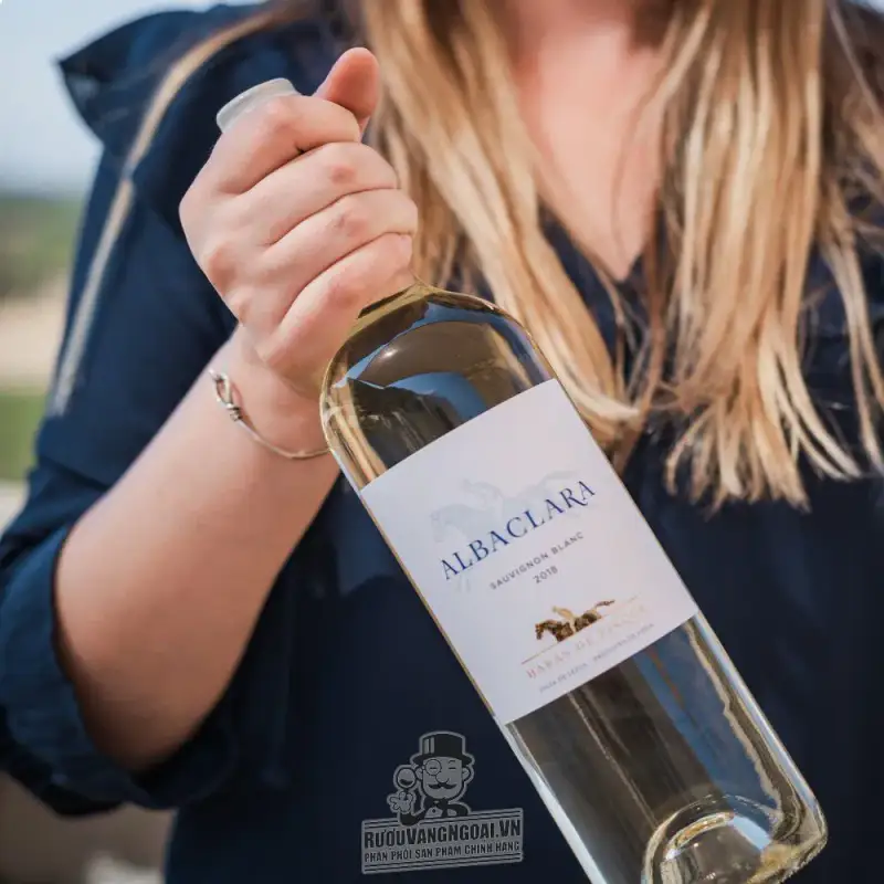 Mua vang chile albaclara haras de pirque sauvignon blanc giá rẻ tại Sài Gòn