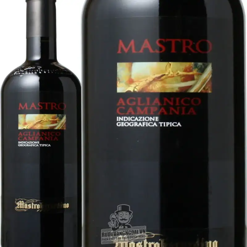 Địa chỉ bán vang y mastroberardino mastro nhap khau chinh hang giá rẻ tại Sài Gòn