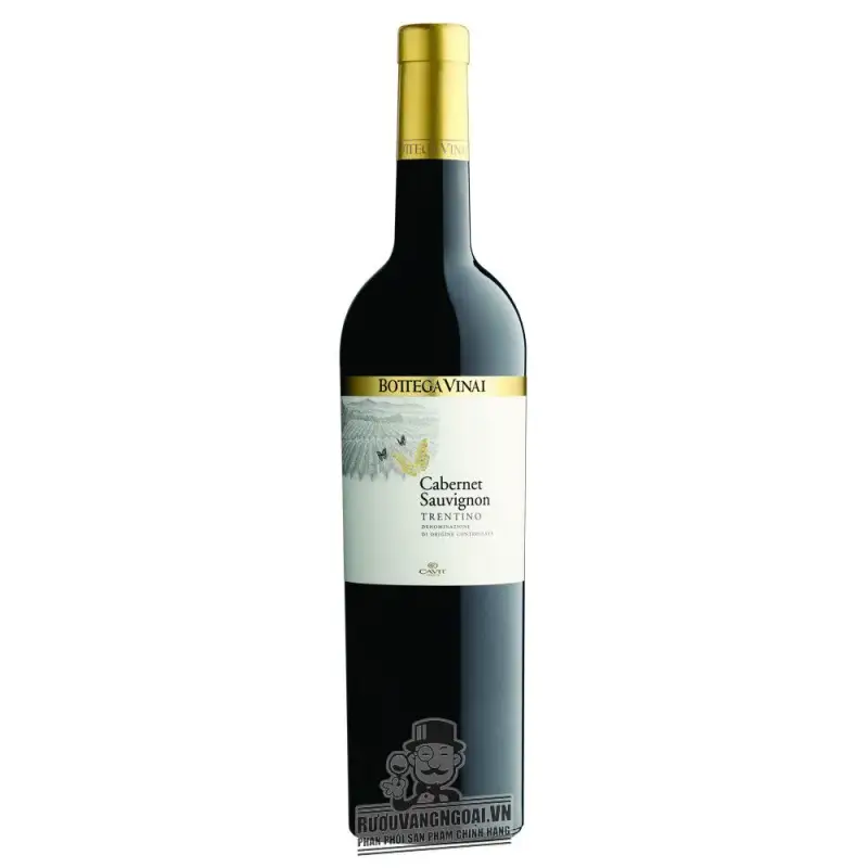 Vang Ý Bottega Vinai Cabernet Sauvignon