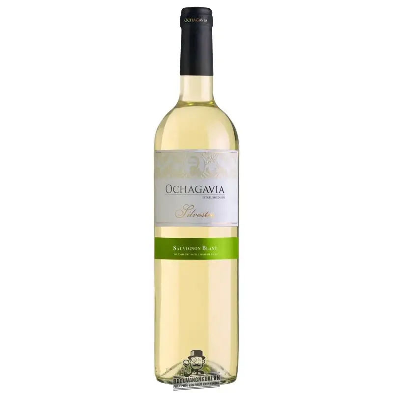 Vang Chile OCHAGAVIA Silvestre Sauvignon Blanc