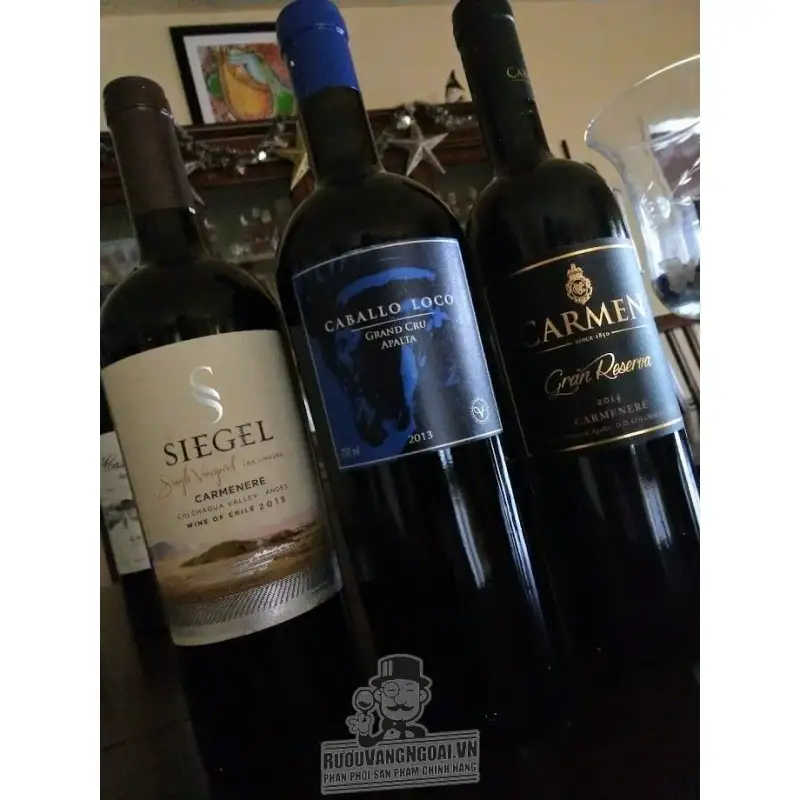 Rượu Vang Chile SIEGEL SINGLE VINYARD CARMENERE