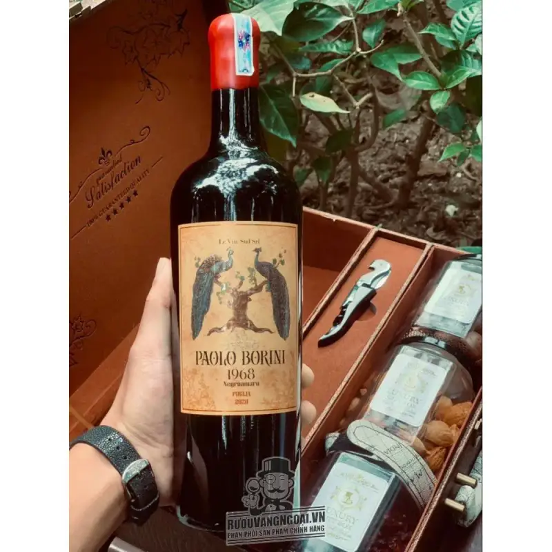 Địa chỉ bán vang y con cong paolo borini negroamaro do cuc re giá rẻ tại Hà Nội