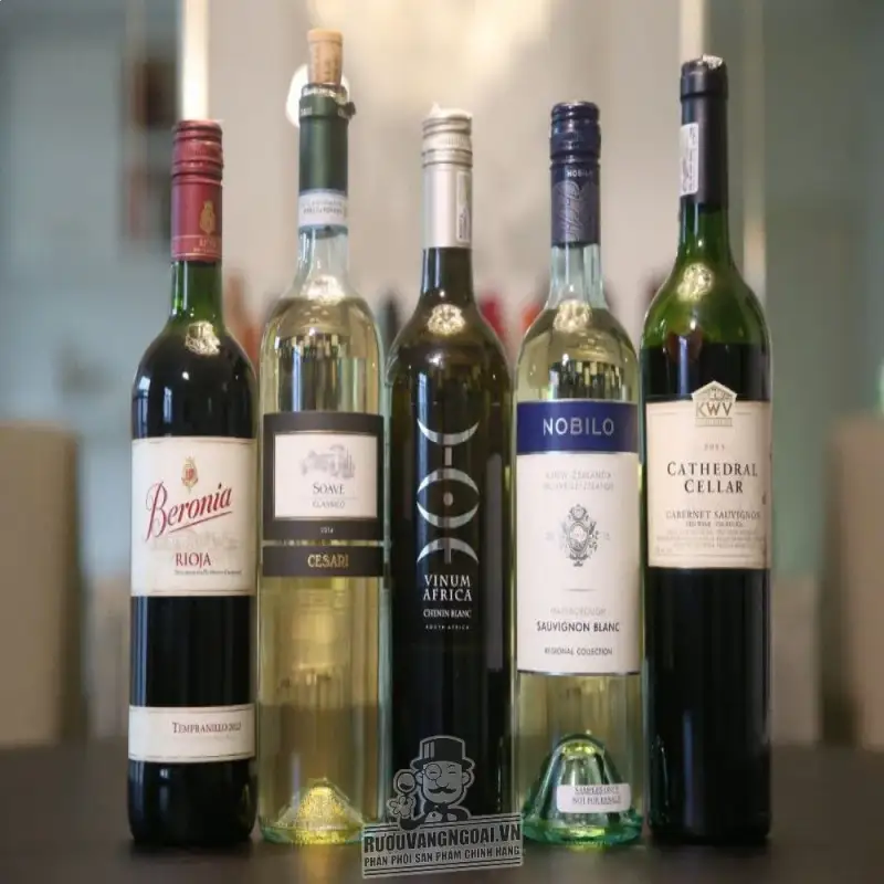 Vang Nam Phi Vinum Africa Chenin Blanc