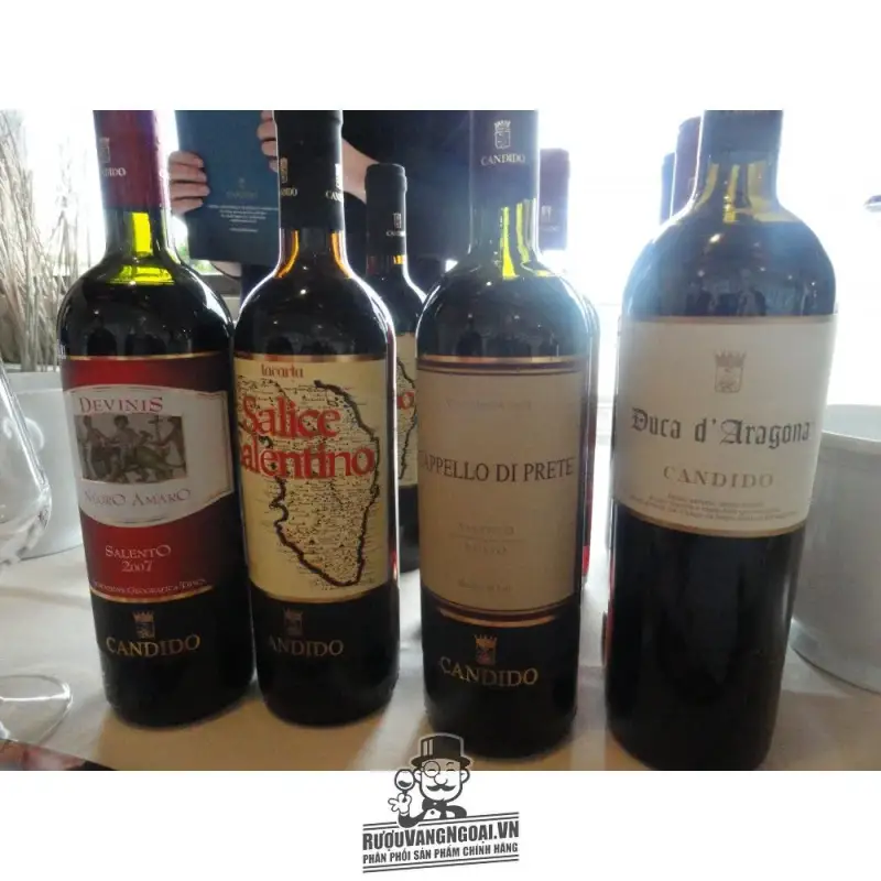 vang-y-candido-duca-daragona-salento-rosso-thuong-hang