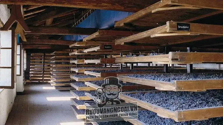 Vang Ý Amarone Villa
