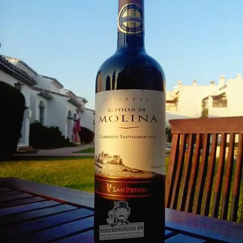 Giá vang chile castillo de molina san pedro reserva red  white