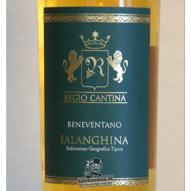 vang y regio cantina falanghina igt beneventano giá bao nhiêu