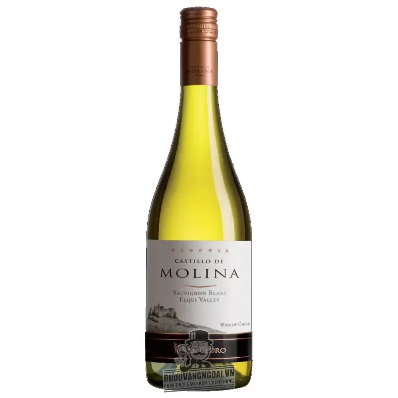 Mua vang chile castillo de molina san pedro reserva red  white giá rẻ tại Hà Nội