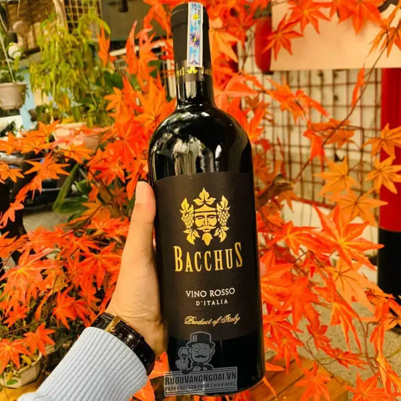 Vang Ý Bacchus Vino Rosso IGP uống ngon