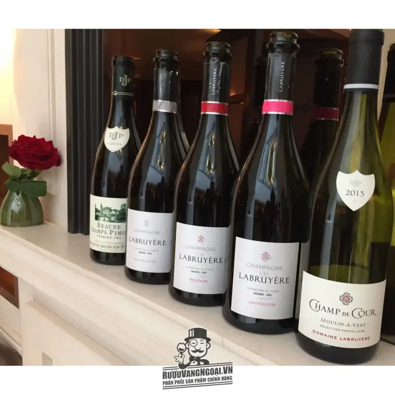 Mua vang phap bourgogne gamay domaine labruyere giá rẻ tại Sài Gòn