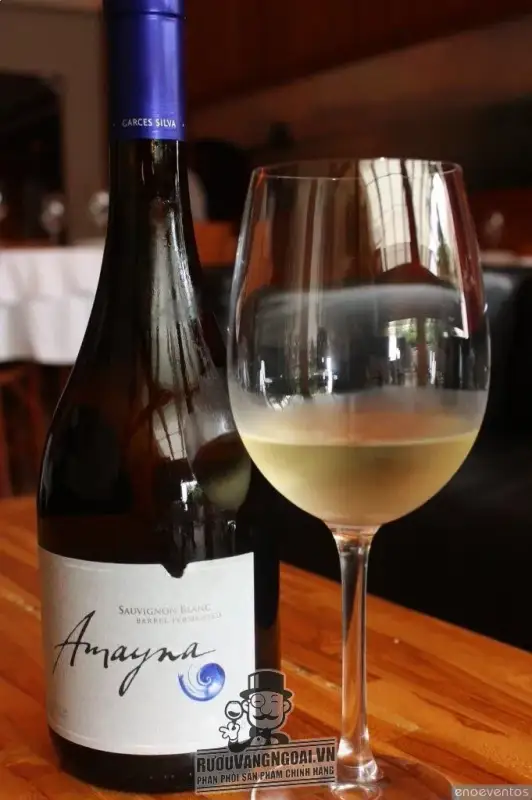 Kết quả hình ảnh cho amayna sauvignon blanc